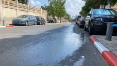  احذروا .. تسرّب كميات من الزيوت في شارع شيفتي يسرائيل في يافا